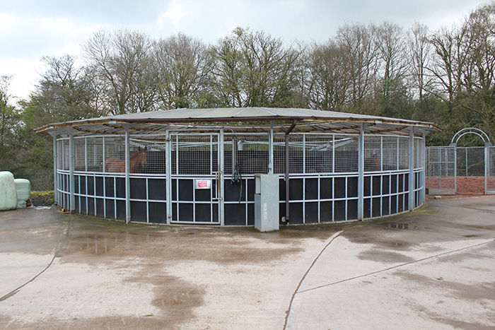 Contrak Ltd, Equestrian