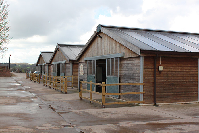 Contrak Ltd, Equestrian